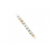 TRAKA LED SMD3528 60/m COOL 4,8 W/m, 24W/m, 6500 K, IP20, 5/1

